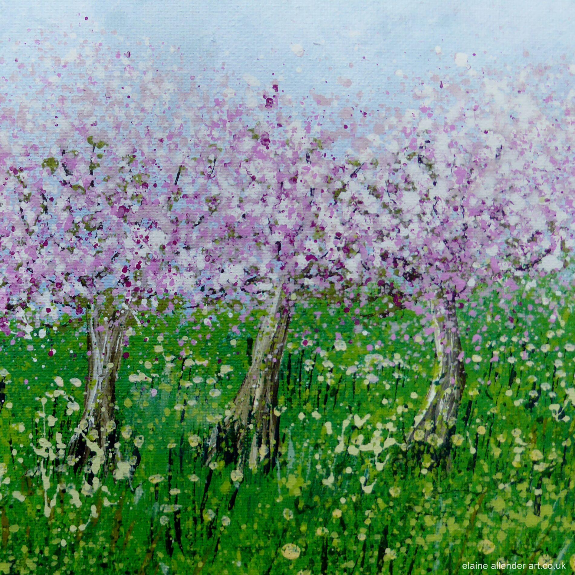 Spring Blossom